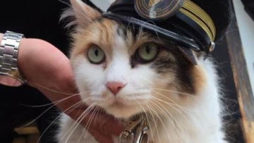 Tama, kucing penjaga stasiun kereta di Jepang kini telah tiada