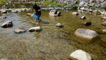 Tangkap Ikan dengan Tangan, Wisata Unik di Nagano (2)