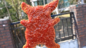 Wah, Pikachu bisa digoreng Seperti apa ya rasanya (3)