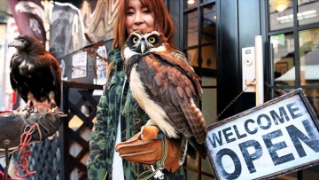 Wah, kafe di Tokyo ini menawarkan makanan, minuman dan burung pemangsa untuk dibawa pulang!