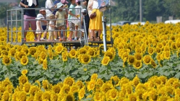 Wow! Jumlah wisatawan yang mengunjungi Jepang melebihi 10 juta orang!