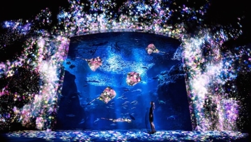 Wow! teamLab menciptakan akuarium interaktif, Night Wonder Aquarium 2015! (1)