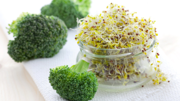 ????????????????????????????????????????