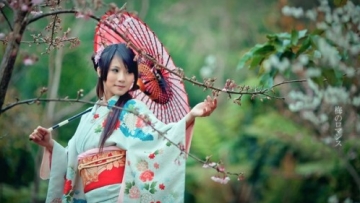 brunettes women cherry blossoms garden japanese asians umbrellas japanese clothes black hair_wallpaperswa.com_44
