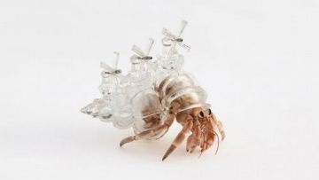 cangkang-kelomang-tembus-pandang-berbentuk-arsitektur-kota- (1)