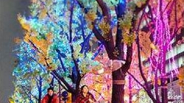 iluminasi-di-midosuji-osaka_20150110_084745