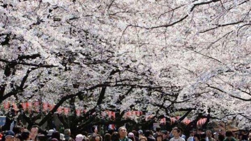 ini-sebabnya-jepang-tak-jadi-tempat-wisata-populer-Kub