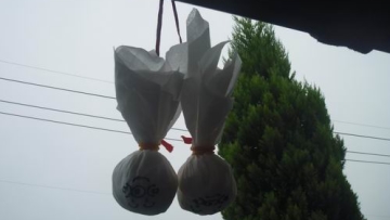 japan superstitions (4)