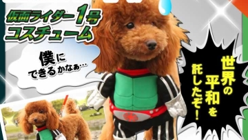 kamen rider dog costume (1)