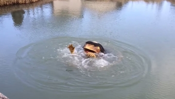 kappa tsujiyama park