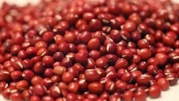 manfaat kacang merah bagi kesehatan