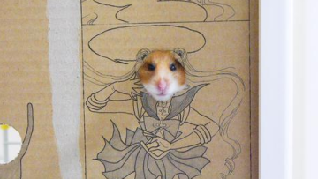 mojako hamster cosplay (1)