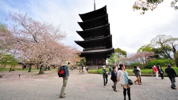 pagoda-toji-temple-kyoto