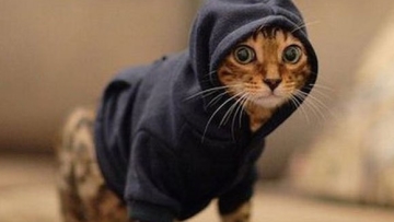 pet-hoodies (1)