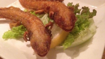 salamander goreng jepang (1)