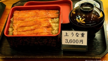unagi-kabayaki