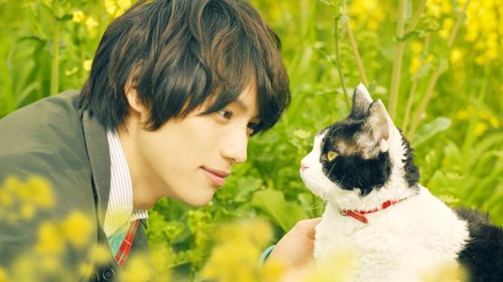 Film Jepang Terbaik yang Tayang di Netflix Agustus 2020 Berita Jepang