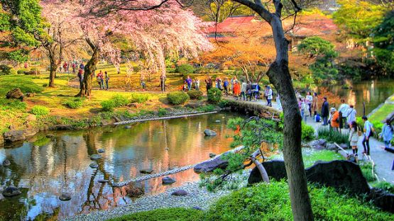 5-tempat-di-tokyo-ini-gratis-tiket-masuk-saat-hari-penghijauan-ayo-jelajahi-sekarang