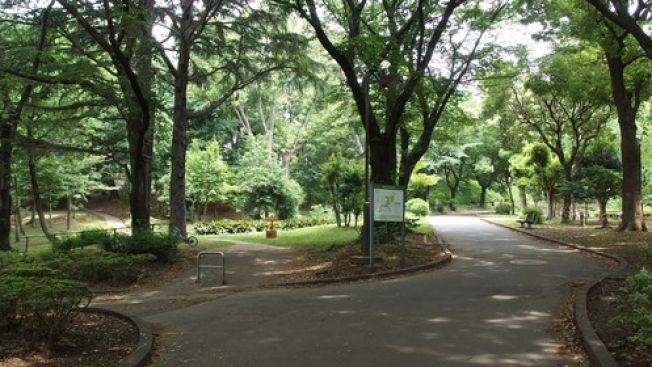 Toyama Park Berita Jepang terkini japanesestation.com