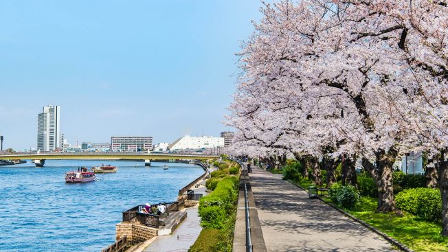 Tempat rekomendasi untuk olahraga lari di Tokyo, Jepang