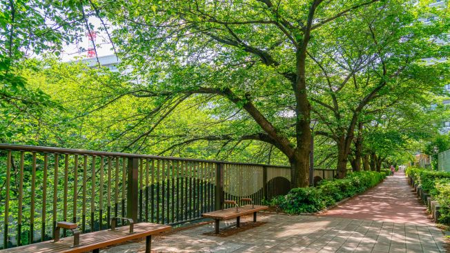 Tempat rekomendasi untuk olahraga lari di Tokyo, Jepang