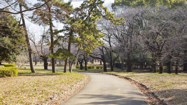 Tempat rekomendasi untuk olahraga lari di Tokyo, Jepang