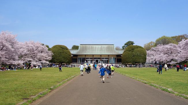 Tempat rekomendasi untuk olahraga lari di Tokyo, Jepang