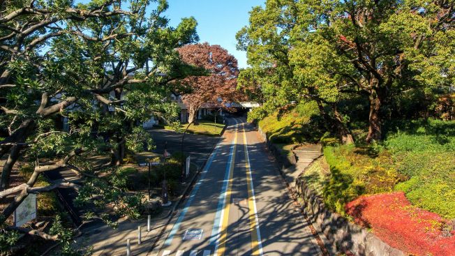 Tempat rekomendasi untuk olahraga lari di Tokyo, Jepang