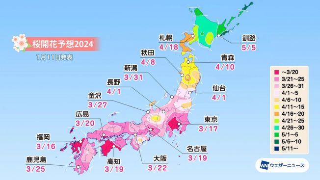 Perkiraan-Sakura-2024-di-Jepang-01