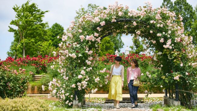 Ibaraki Flower Park Ibaraki Flower Park