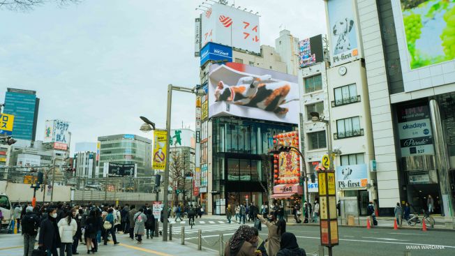 Shinjuku 3D Cat, Wawa Wardana Shinjuku 3D Cat, Wawa Wardana