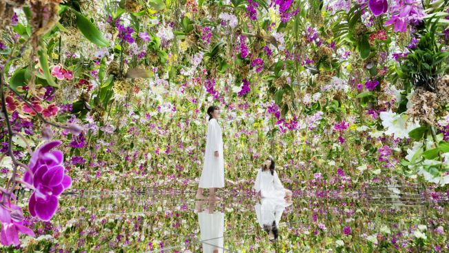 teamLab Planet Tokyo, Japan National Tourism Organization teamLab Planet Tokyo, Japan National Tourism Organization