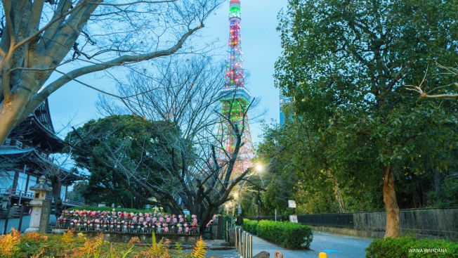 Tokyo Tower, Wawa Wardana Tokyo Tower, Wawa Wardana