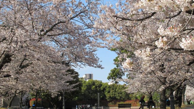  Hypocenter Park, Nagasaki Tabinet