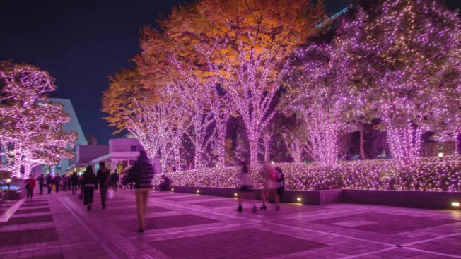 Rekomendasi Spot Tokyo Winter Illuminations 2025