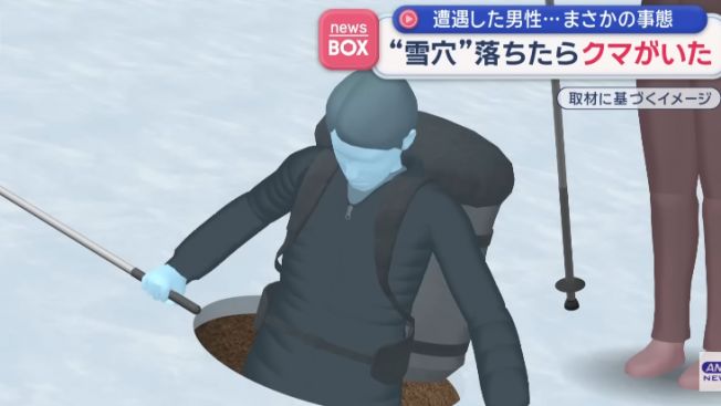 Pendaki di Jepang Terjatuh ke Lubang yang Ternyata Berisi Beruang