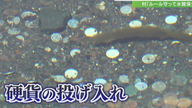 Kolam Koi di Oshino Hakkai Terdampak Akibat Ulah Wisatawan