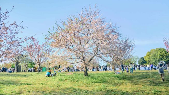 Toneri Park, Adachi, Tokyo. Wawa Wardana/Japanese Station