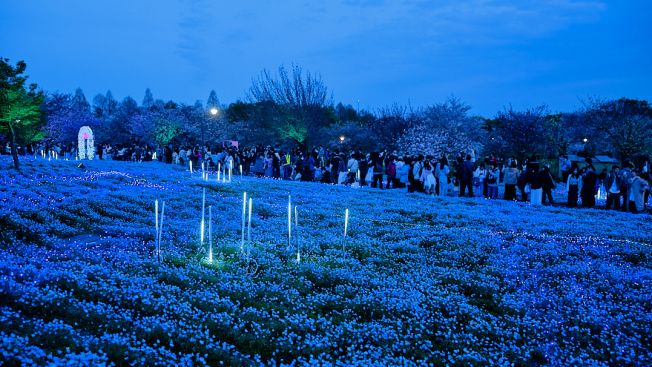 Toneri Park, Adachi, Tokyo. Wawa Wardana/Japanese Station
