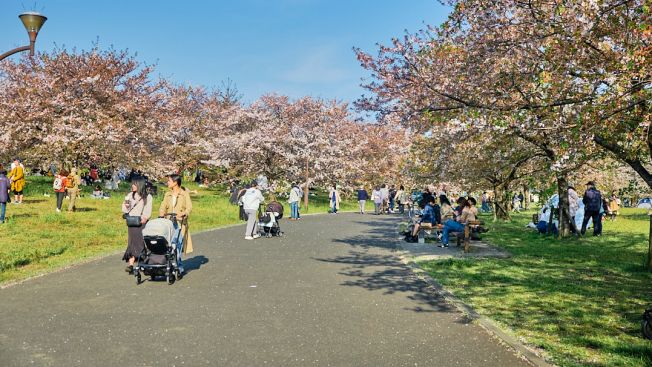 Toneri Park, Adachi, Tokyo. Wawa Wardana/Japanese Station