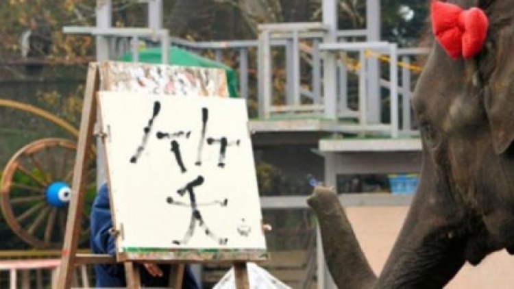 1735149gajah-jepang780x390