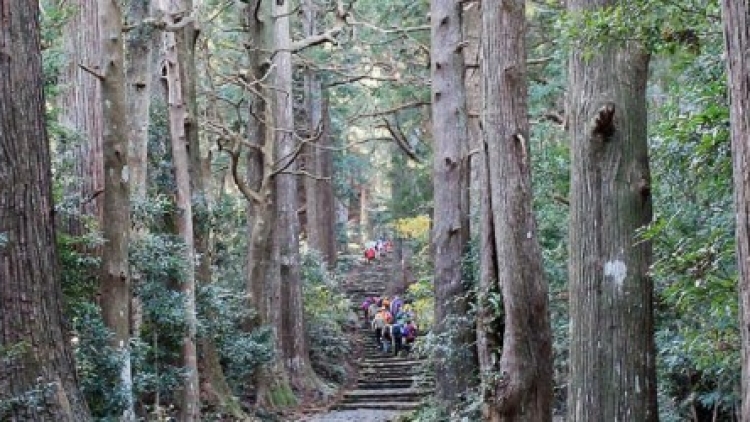 1a 0928376hutann5780x390 1a 0928376hutann5780x390