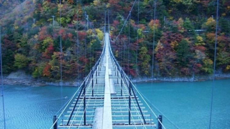 1g suspension7 1g suspension7