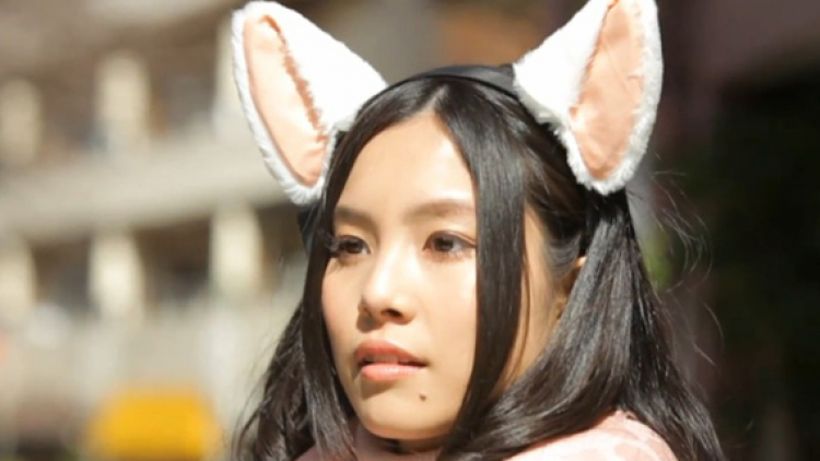 brainwave-cat-ears brainwave-cat-ears