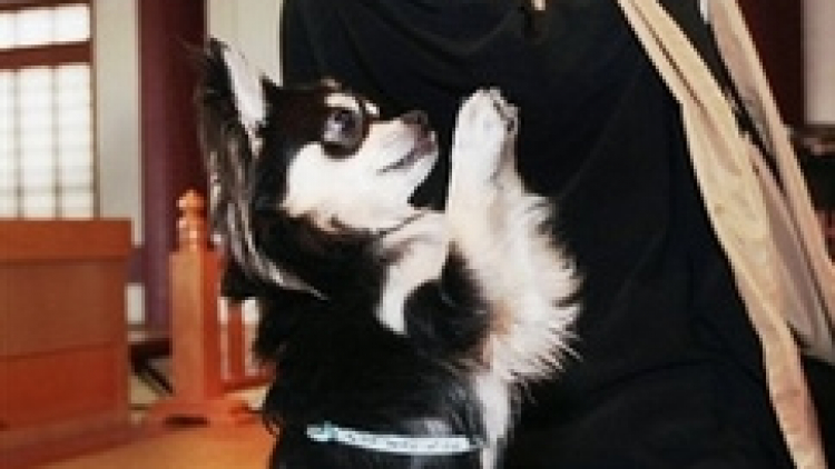 3074184795_91bca1ae7e