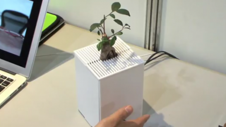 interactive-plants-550x258 interactive-plants-550x258