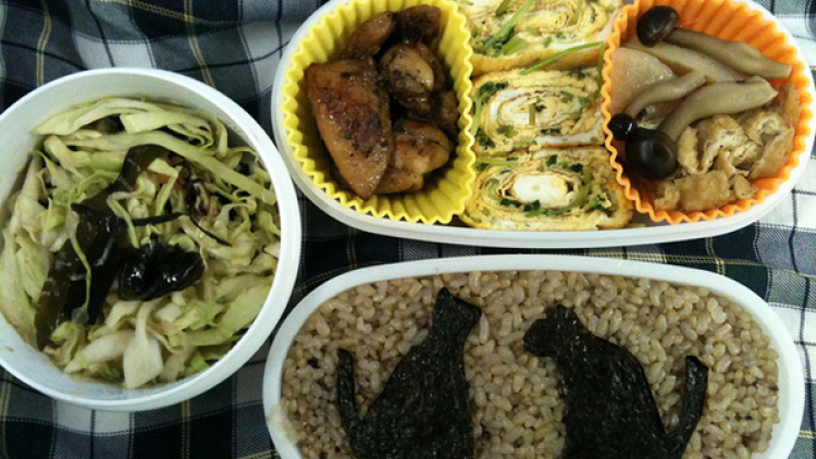 bento bento