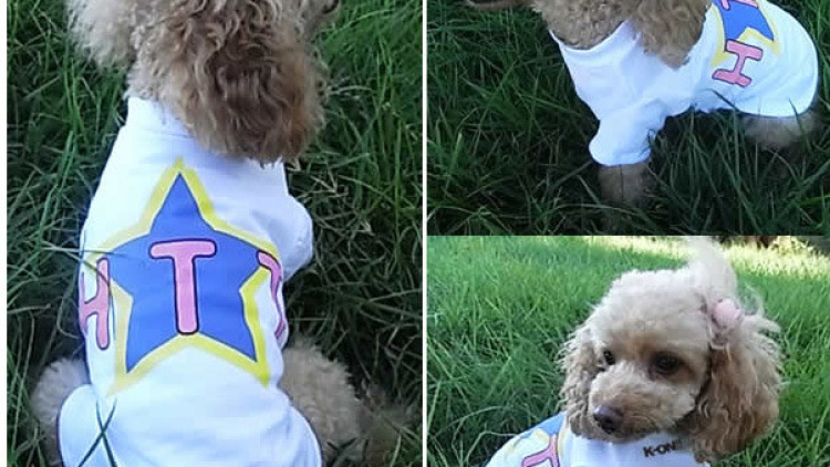 k-on dog 01 k-on dog 01