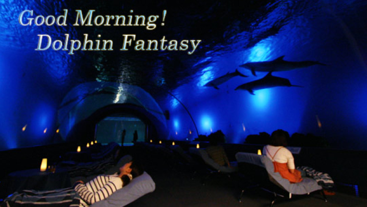 dolphin fantasy 01 dolphin fantasy 01