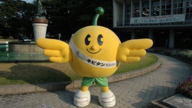 kibitan mascot kibitan mascot